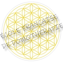 Correcteur Fleur de Vie