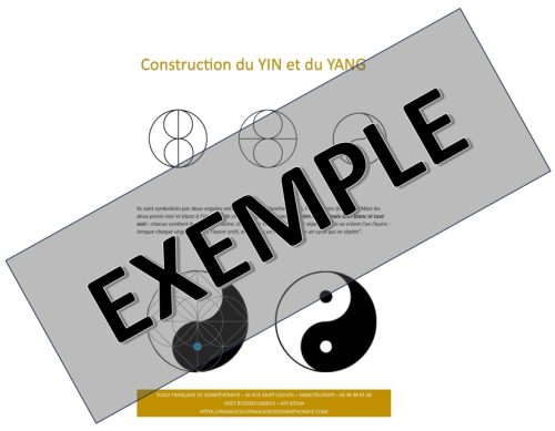 FICHES FENG SHUI - Yin Yang – Image 3