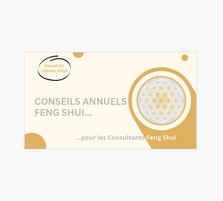 Conseils Feng Shui 2025